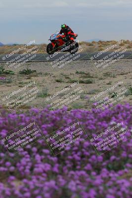 media/Jan-14-2023-SoCal Trackdays (Sat) [[497694156f]]/Turn 14 Exit Bloomig (145pm)/